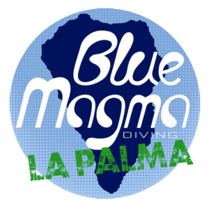 blue-magma-la-palma Blue Magma Diving La Palma